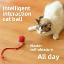 Bolinha Inteligente - Brinquedo Interativo para Cães e Gatos