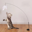 Vareta com Ventosa para Gatos