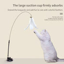 Vareta com Ventosa para Gatos