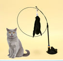 Vareta com Ventosa para Gatos