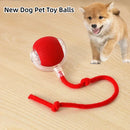 Bolinha Inteligente - Brinquedo Interativo para Cães e Gatos
