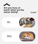 Bolinha Inteligente - Brinquedo Interativo para Cães e Gatos