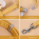 Coleira Abelinha para Gatos - Ajustável e Confortável