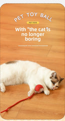 Bolinha Inteligente - Brinquedo Interativo para Cães e Gatos